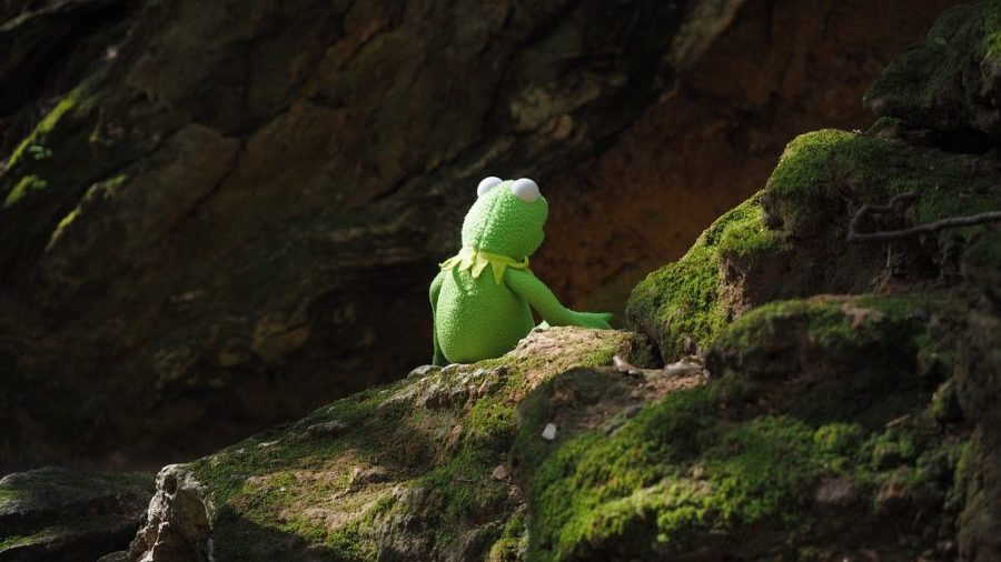 kermit