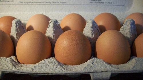 eggs