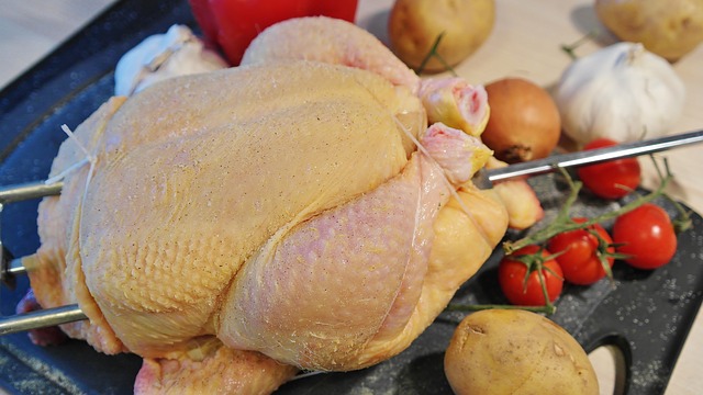 chicken