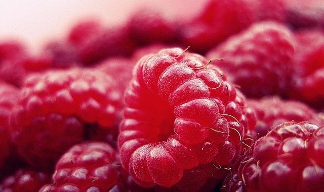 raspberry