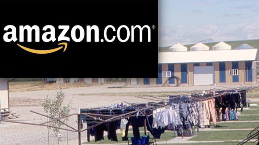 amazoncolony2
