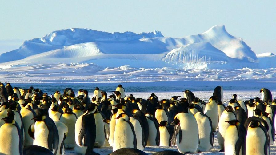 antarctica