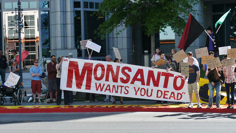 monsanto