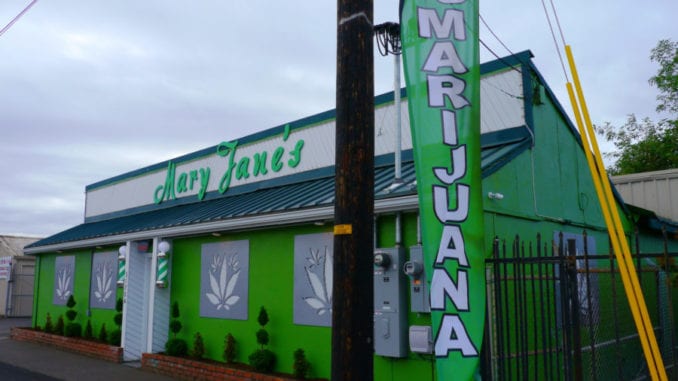 cannabis