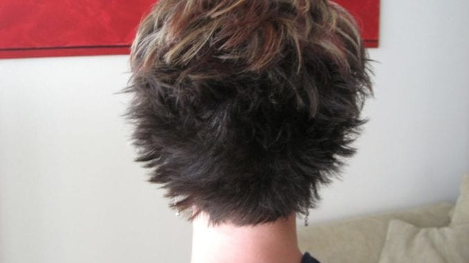 shorthair
