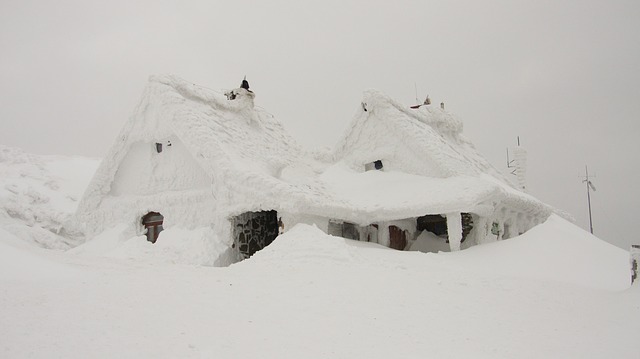 winter
