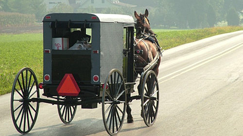 buggy