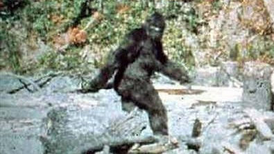 bigfoot