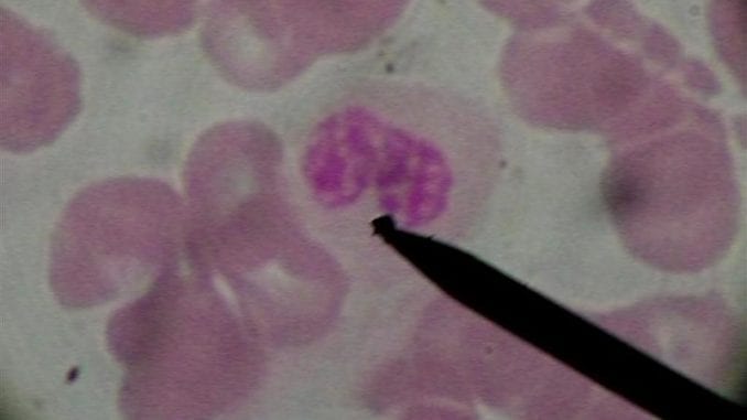 biology