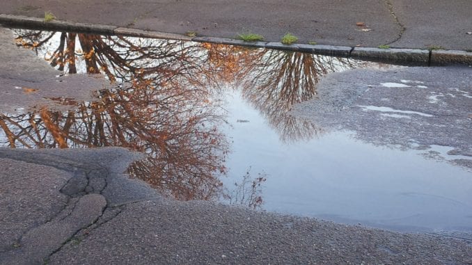 puddle