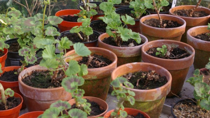 pots