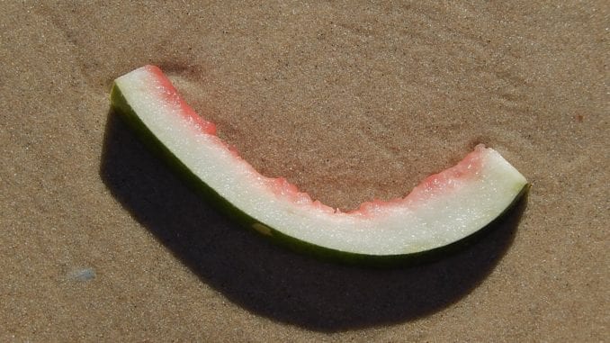 watermelon