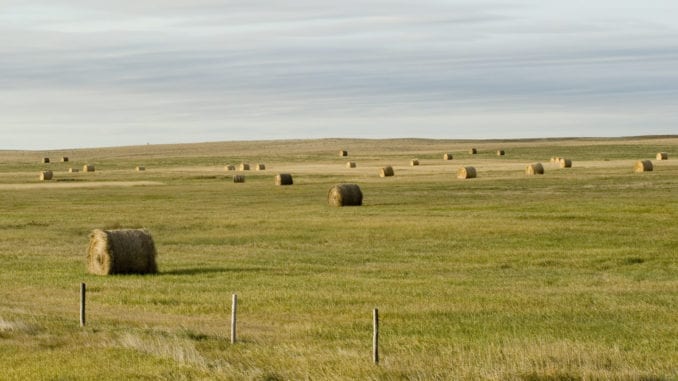 saskflat