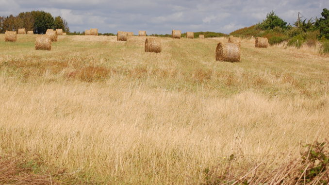 field