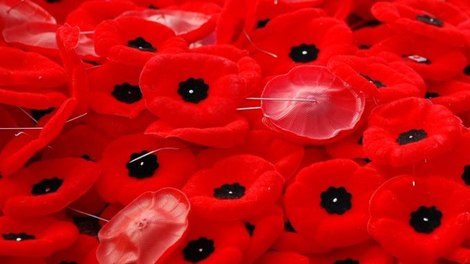 poppies