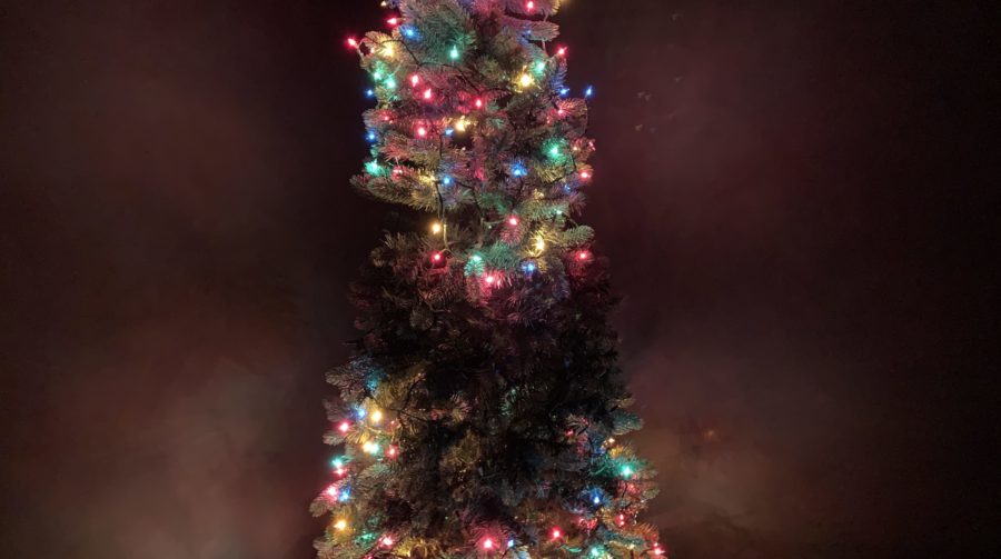 Christmas Lights Partake in Intermittent Fasting