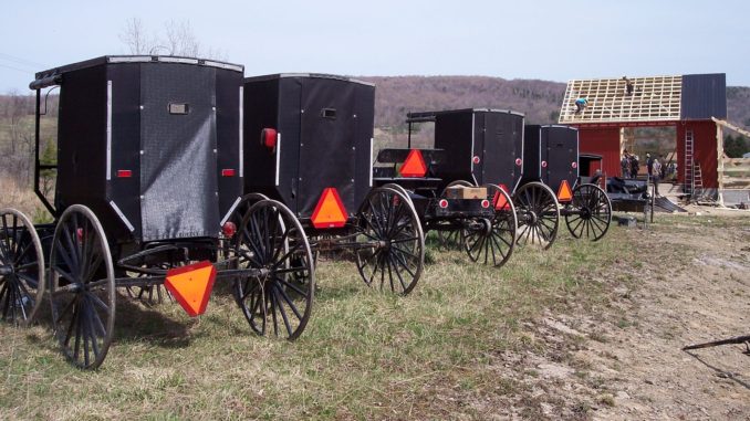 buggies