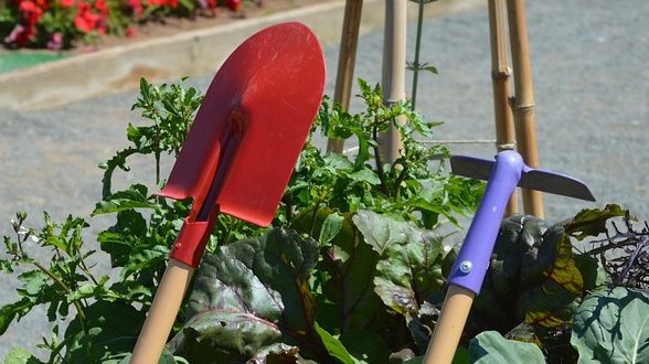 gardening