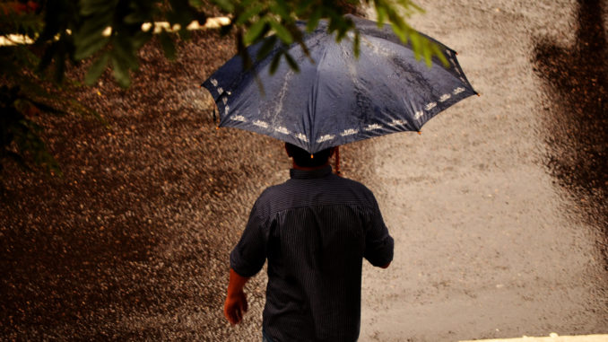 umbrella