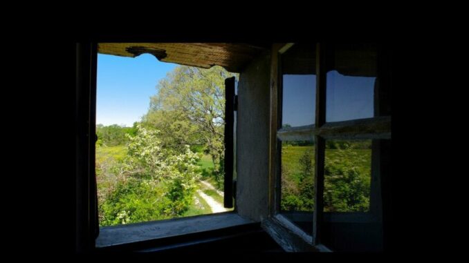 window