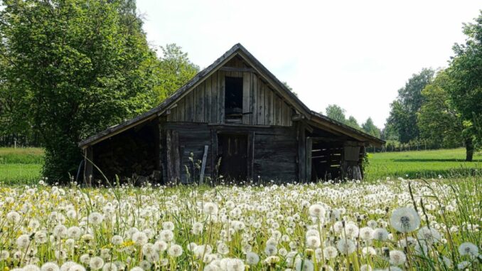 barn
