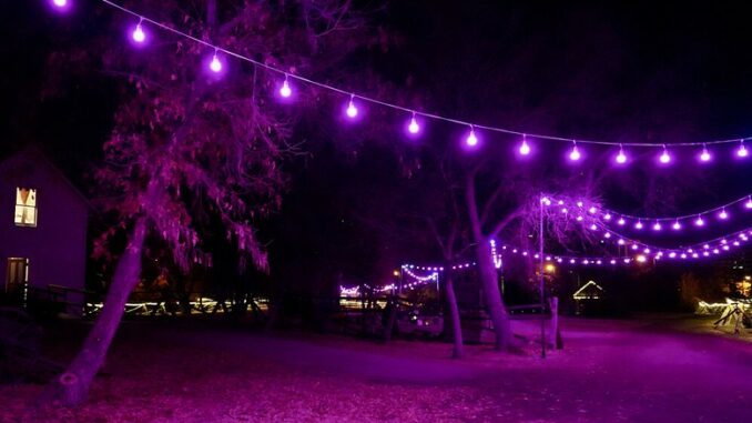 purple