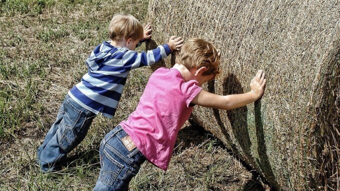 kidfarmers
