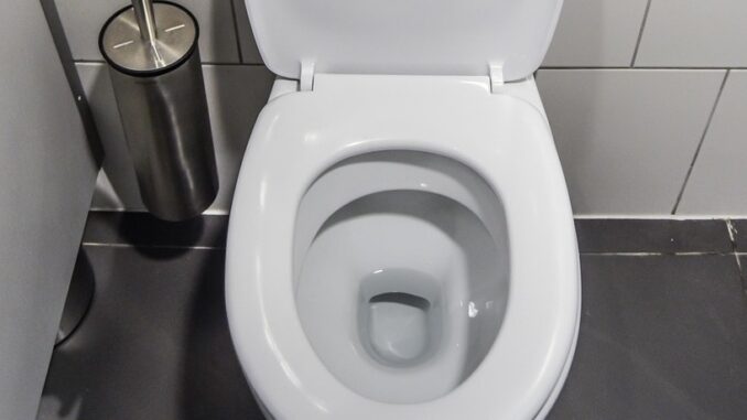 toilet